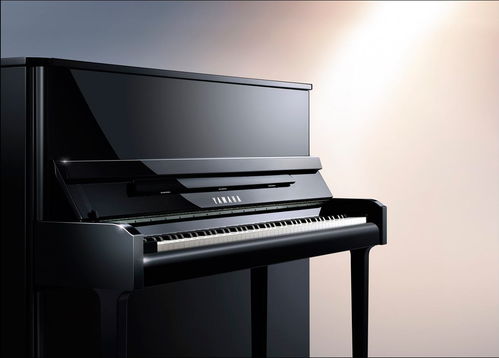 珠江鋼琴回收 西寧二手鋼琴回收免費估價