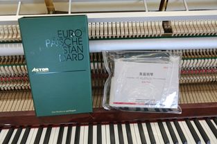 德國阿斯特鋼琴at123i技術評測