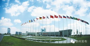 新春開門紅 20個產業化項目扎堆中國醫藥城，技術服務開啟新篇章